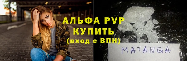 индика Ладушкин