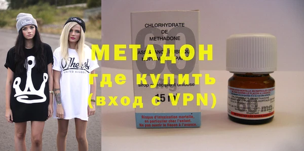 индика Ладушкин