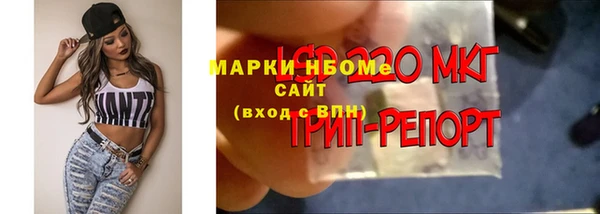 прущая мука Абаза