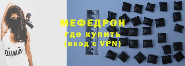 индика Ладушкин