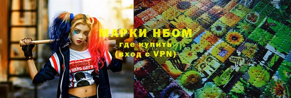 индика Ладушкин