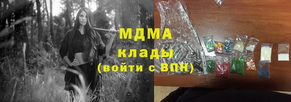 индика Ладушкин
